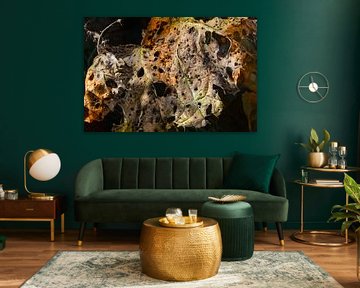 Autumn leaf by Klaartje Majoor