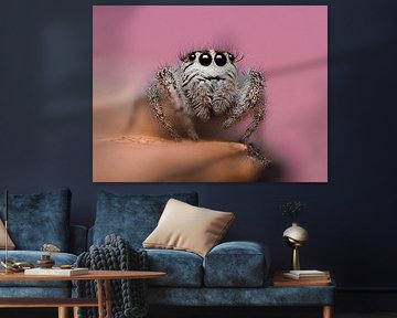 Wimpern und Gurtband von Efraïm Baaijens