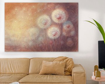 Pusteblumen in warmes Licht getaucht von Claudia Gründler