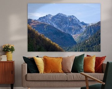 Forest and mountains in the Mutterberg valley by Torsten Krüger