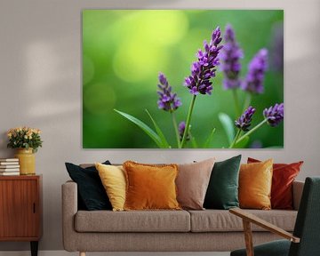 Lila Blütenähren mit grünem Laub von Markus Gann