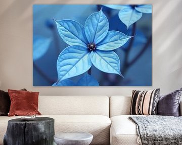 Nahaufnahme einer hellblauen Blume mit sechs Blütenblättern von Markus Gann