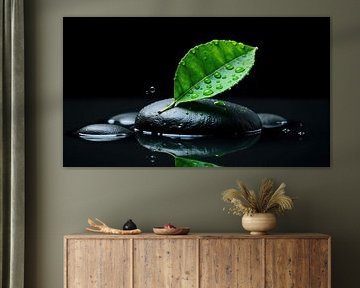 Green Leaf on Smooth Stones in Water