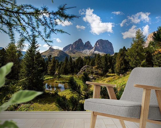 Aperçu de la chambre