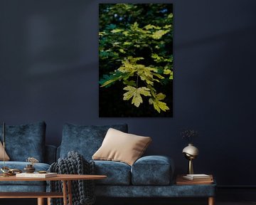 das Flüstern des Herbstes