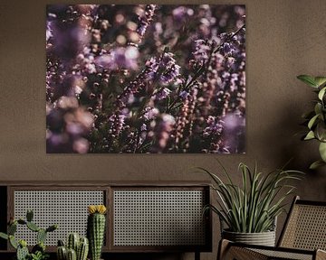 Posbank Heide in bloei 1 van Eleida-Fotografie