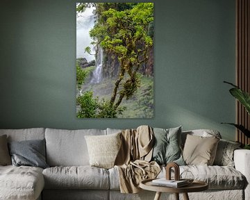 Regenwoud bij Iguazu van Peter Leenen