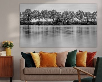 Reflection in the water from a row of trees by Mark Bolijn