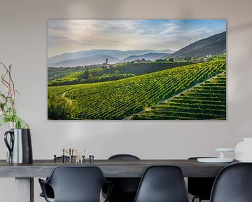 Collines du Prosecco, vignobles et village de San Pietro di Barbozza