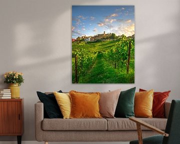 Vignobles des Langhe et village de Neive, Piémont, Italie