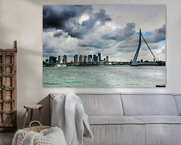 De Skyline van Rotterdam van Petra Brouwer