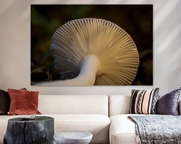 De bas en haut ... sur Eric Fotografie