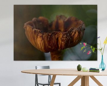 Herbstfarben von Eric Fotografie