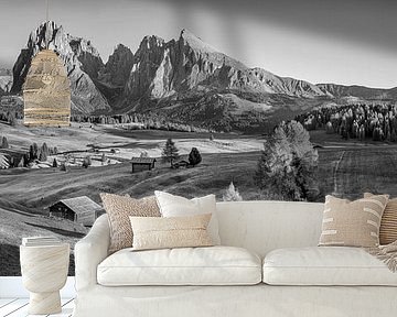Dolomites Alpe di Siusi black and white