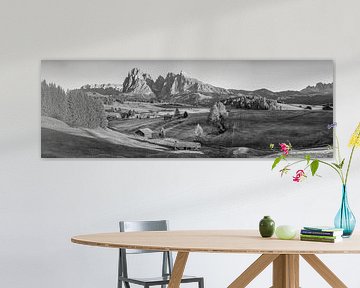 Dolomites Seiseralm noir et blanc