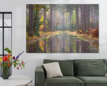 Hidden treasures in the forest by Rick Goede