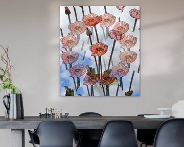 Coquelicot de l'illusion