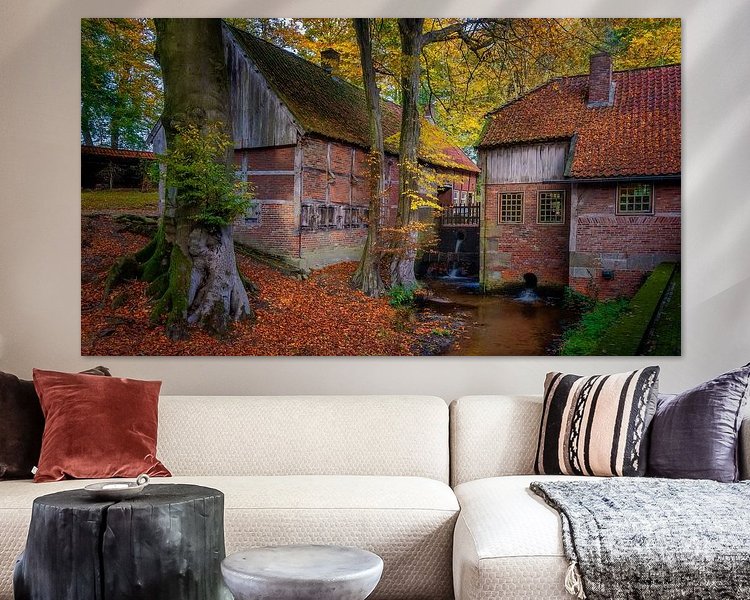 Aperçu de la chambre