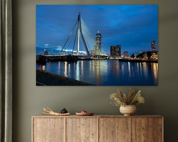Erasmus Bridge Rotterdam by Lydia Hoogland