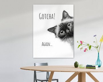 Coole Katze - Schon wieder erwischt