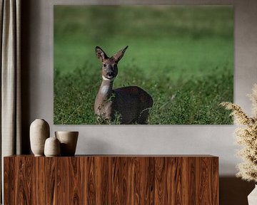 The view of the wilderness by JoachimD.Kruse-Photography