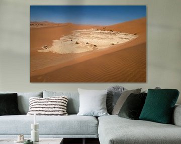 Bac à sel Sossusvlei sur Willemijn Wolthaus