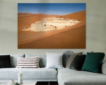 Salzpfanne Sossusvlei von Willemijn Wolthaus