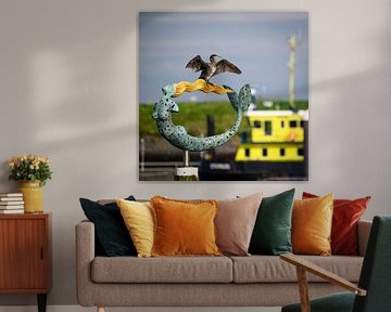 Asgolver in Wemeldinge