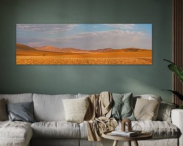 Panorama of landscape in Namibia