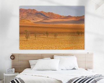 Landscape in Namibia's pristine countryside