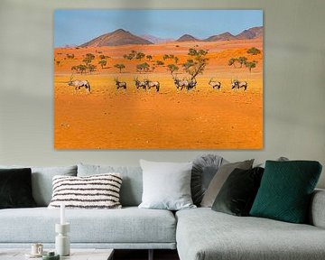 Landscape in Namibia's pristine countryside