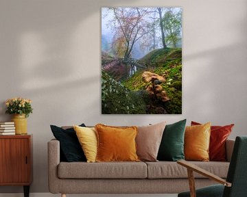 Champignon dans le parc sur Thijs Friederich