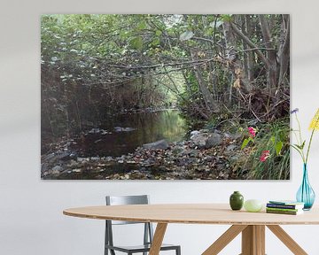 De rivier van Erick's Photo Experience