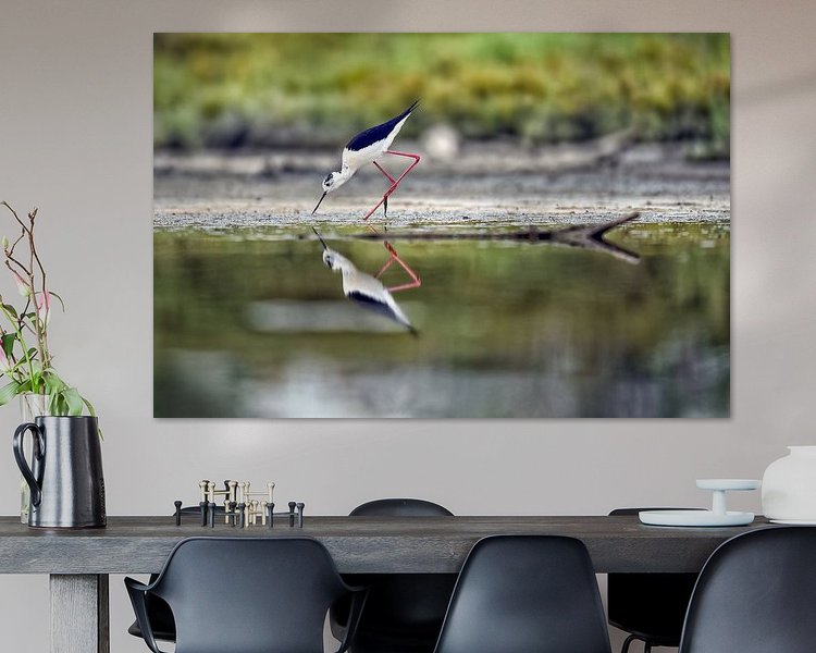 Aperçu de la chambre