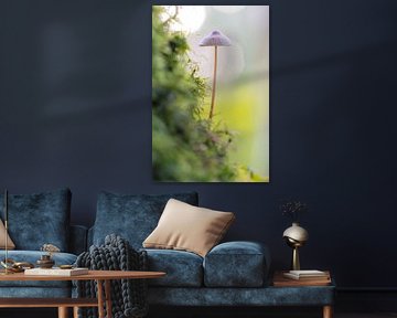 Silence dans la mousse sur Rick Goede