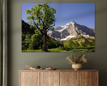 Großer Ahornboden in the Eng near Hinterriß - impressive alpine landscape in the Karwendel. Buy a mural or canvas now and experience an idyllic mountain landscape. by Miriam Schwarzfischer Fotografie