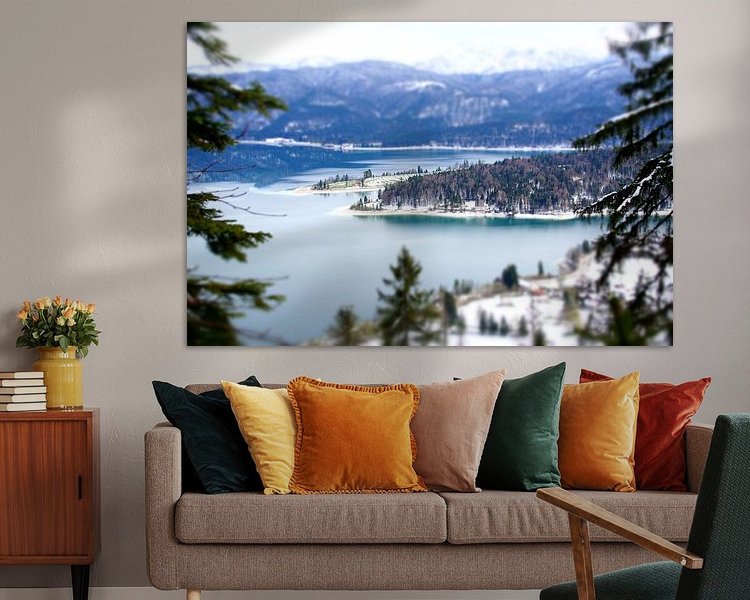 Aperçu de la chambre