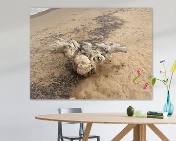 Sizilien, Naturkunst am Strand von Casa del Re. von Angelique Stokkermans