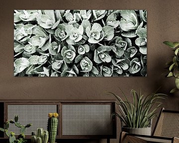 Gemeinsam von Evgeniya Wesseling