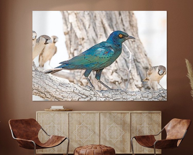 Aperçu de la chambre