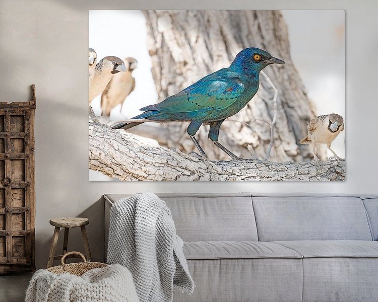 Aperçu de la chambre