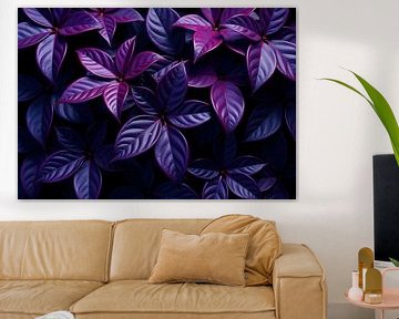 Plantes à feuilles violettes Gros plan sur Markus Gann