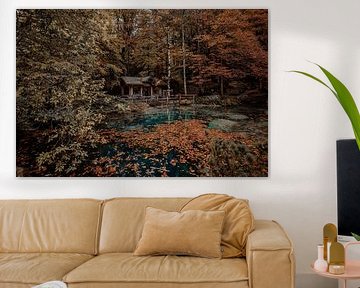 Hut at Blausee in autumn by Fabiroams