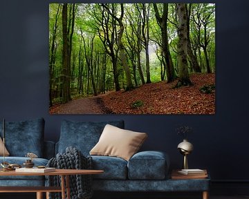 Maiwald by Ostsee Bilder