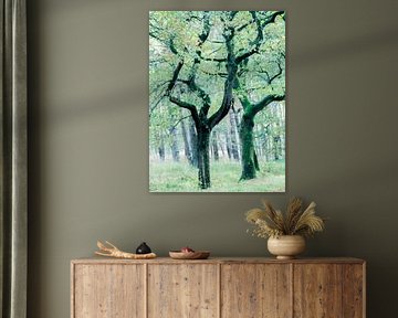 Dans le silence de l'automne sur patrick van den Broek