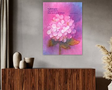 Hydrangeas haiku