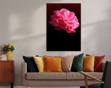 Die Rose von Leon Polko