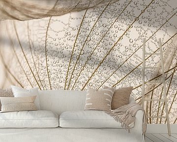 Rural simplicity: Drops rest in the fluff of a Tragopogon by Marjolijn van den Berg