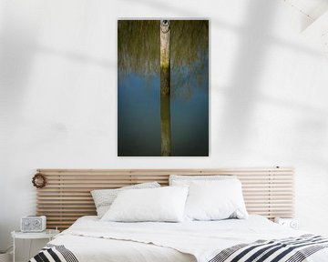 Hoe diep is het water in de Biesbosch by Petra Brouwer