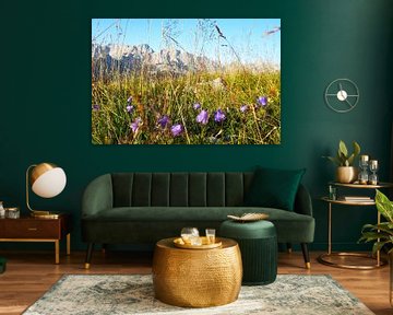 Fleurs des Alpes - une photographie de la nature aux couleurs éclatantes, prise dans les montagnes. Acheter maintenant une peinture murale ou une toile et découvrir la diversité des fleurs alpines dans le Karwendel. sur Miriam Schwarzfischer Fotografie